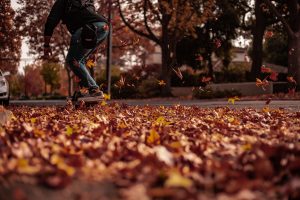 Photo by Nicholas Dias from Pexels