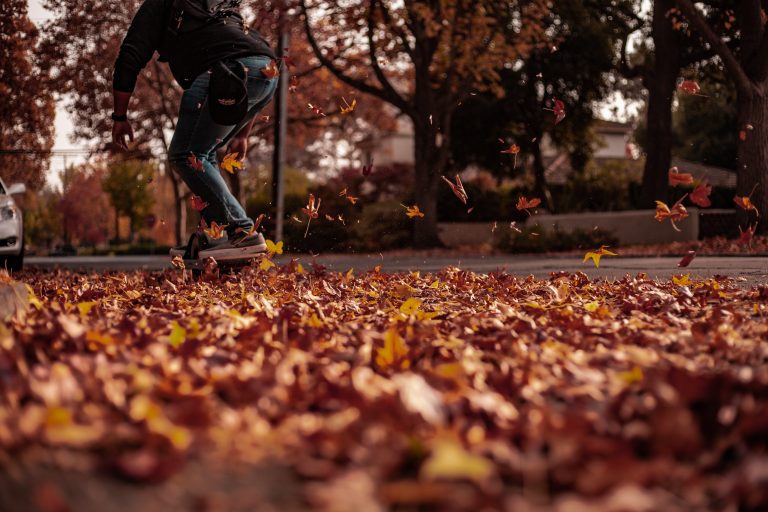 Photo by Nicholas Dias from Pexels