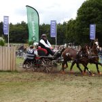 Balkanski šampionat u vožnji zaprega u Kovačici
