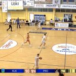 MALINA NA POBEDNIČKOJ TORTI OD ŠLAGA